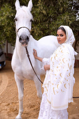 Salam - سلام