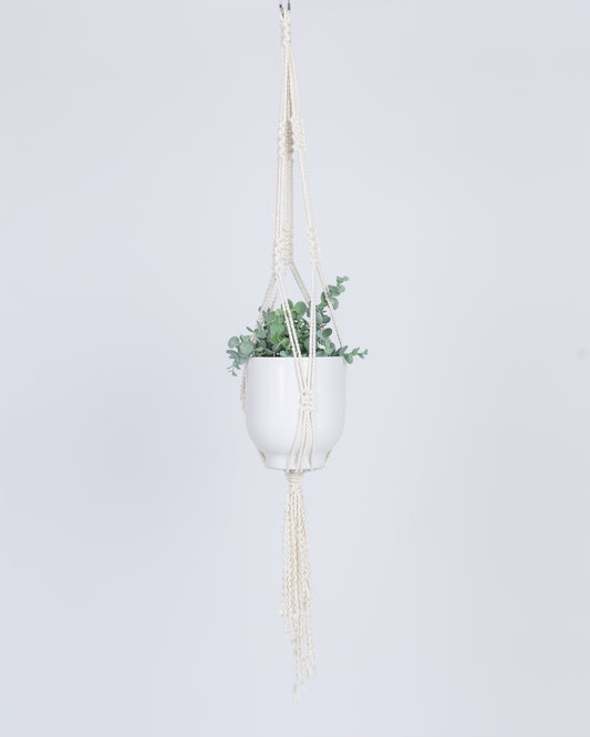 Plant Hanging Macrame