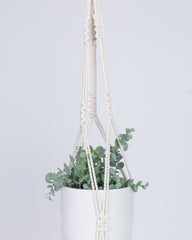 Plant Hanging Macrame