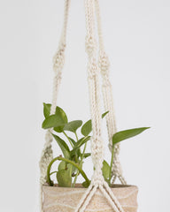 Plant Hanging Macrame