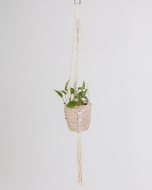 Plant Hanging Macrame