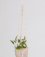 Plant Hanging Macrame