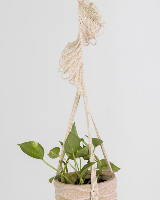 Plant Hanging Macrame