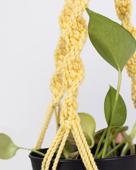 Plant Hanging Macrame