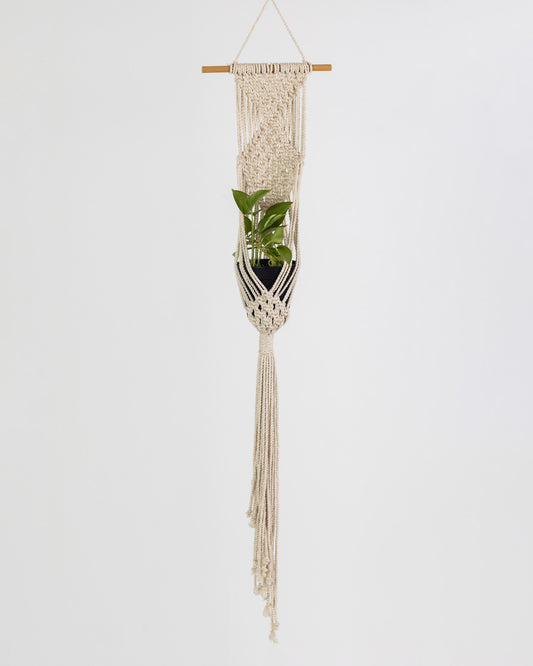 Plant Hanging Macrame