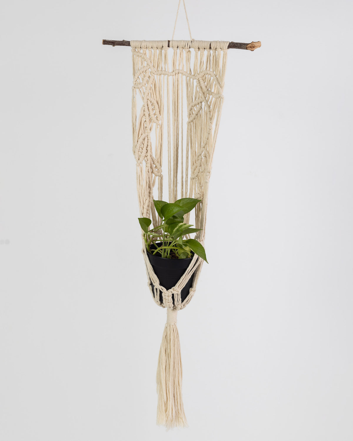 Plant Hanging Macrame