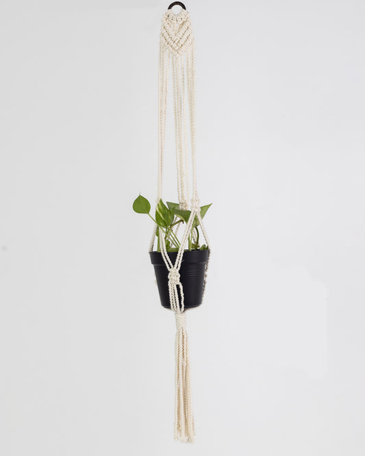 Plant Hanging Macrame