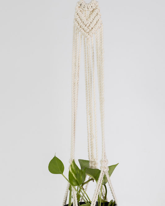 Plant Hanging Macrame