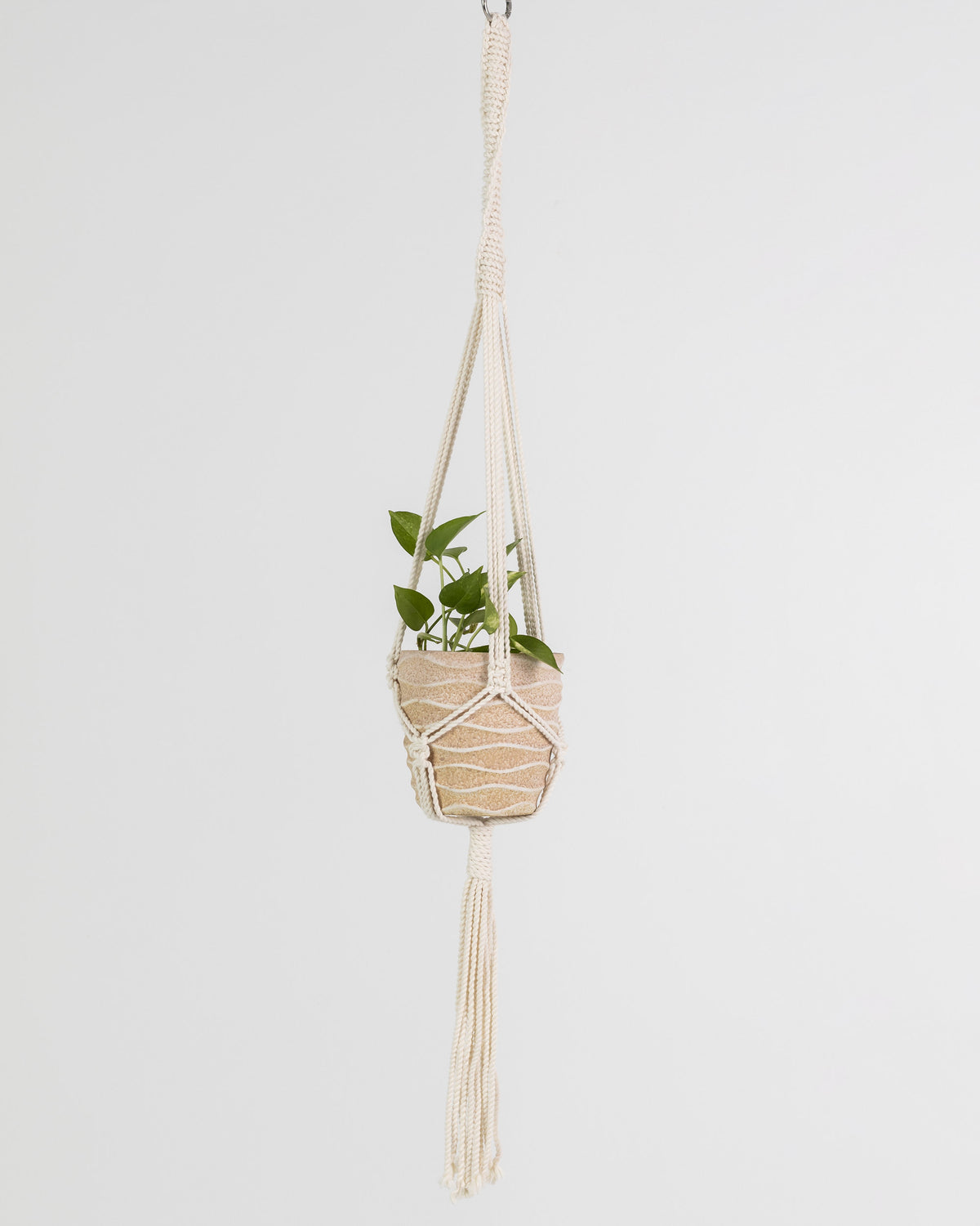 Plant Hanging Macrame