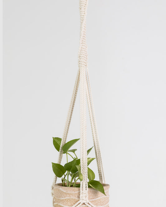 Plant Hanging Macrame