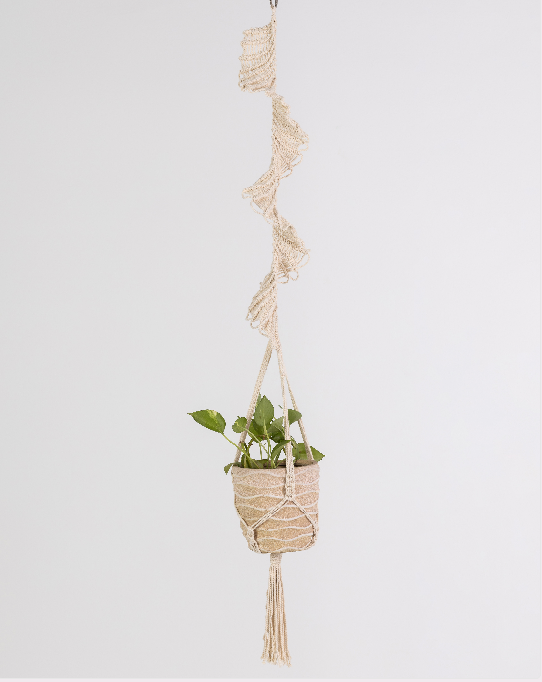 Plant Hanging Macrame