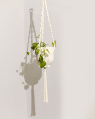 Plant Hanging Macrame