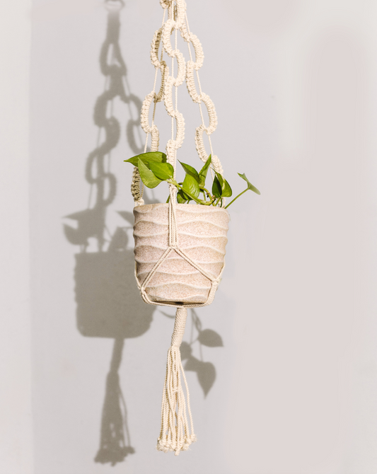 Plant Hanging Macrame